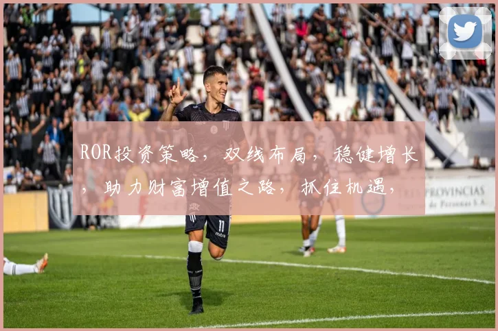 ROR投资策略，双线布局，稳健增长，助力财富增值之路，抓住机遇，共筑未来