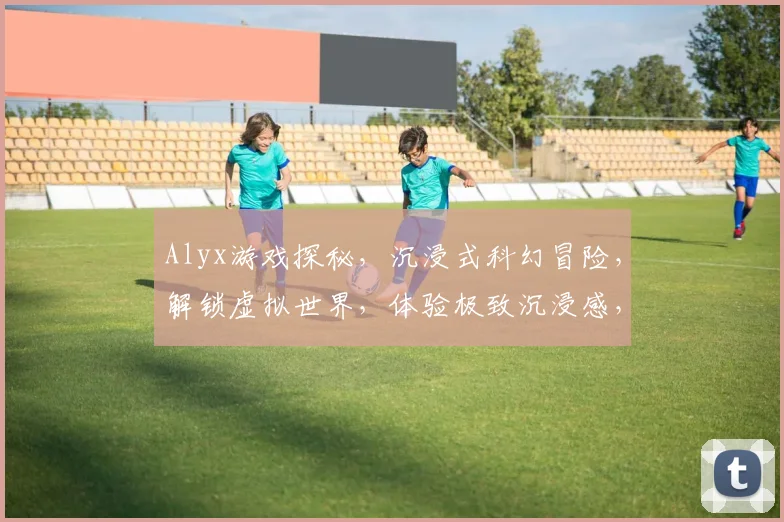Alyx游戏探秘，沉浸式科幻冒险，解锁虚拟世界，体验极致沉浸感，不容错过